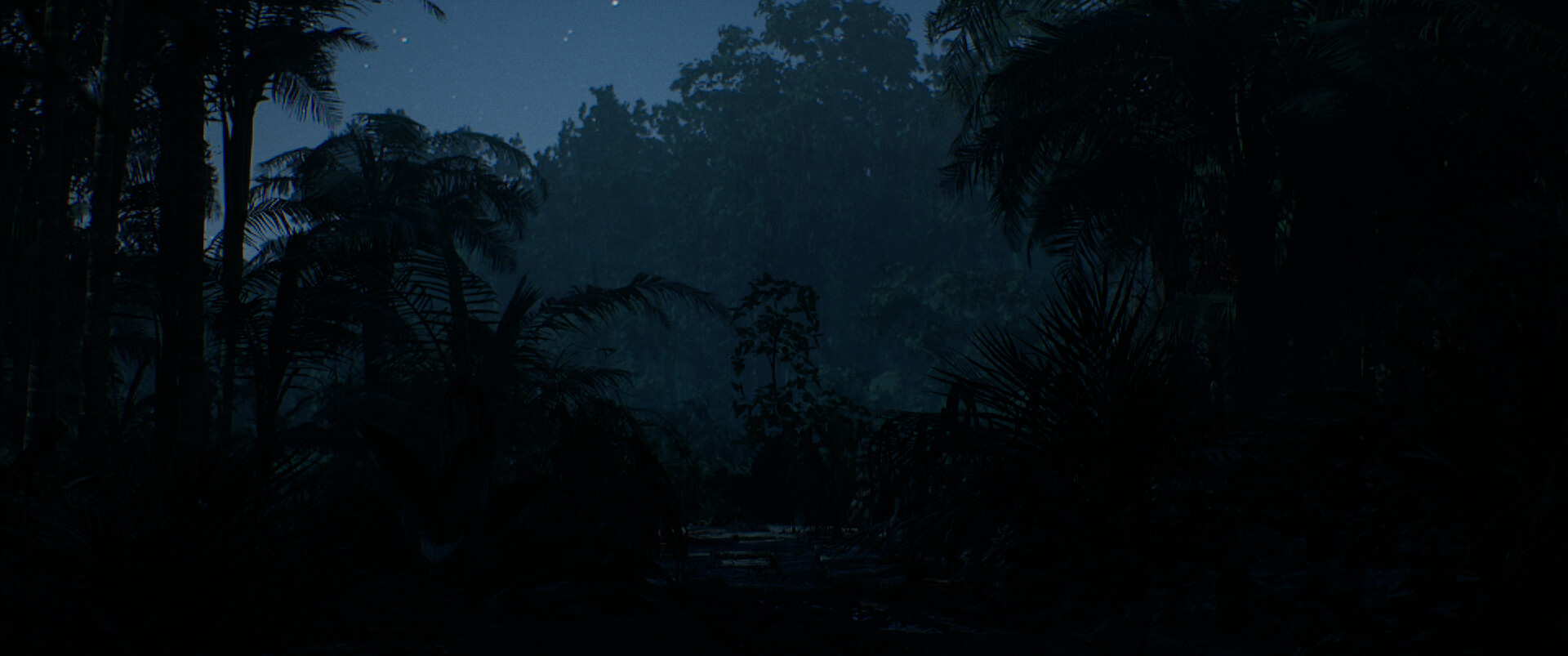 بدون عنوان (جنگل) - تصویر 13940