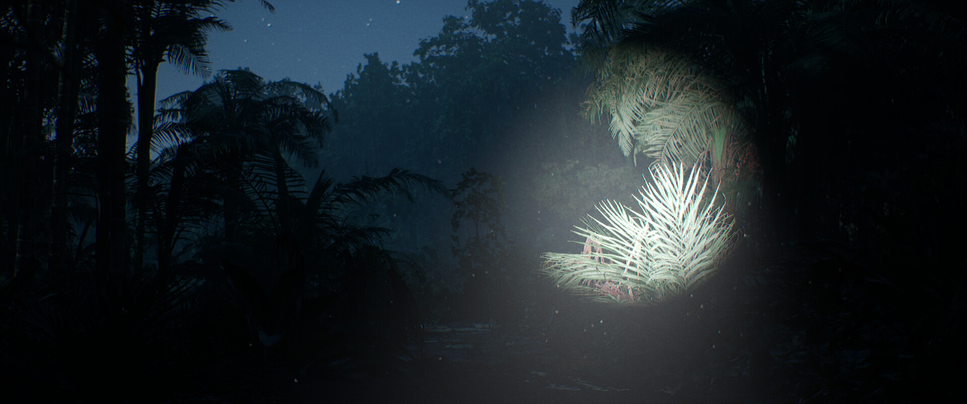 بدون عنوان (جنگل) - تصویر 13941