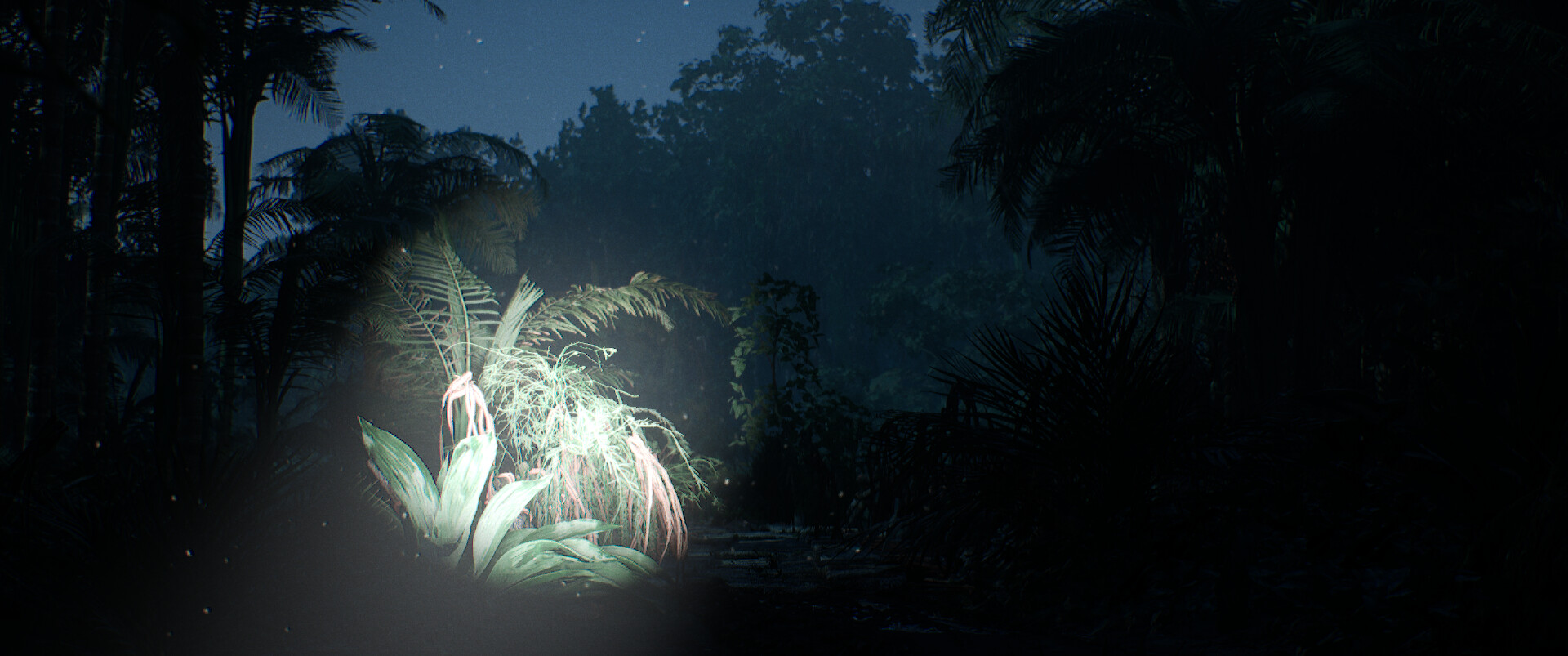 بدون عنوان (جنگل) - تصویر 13942