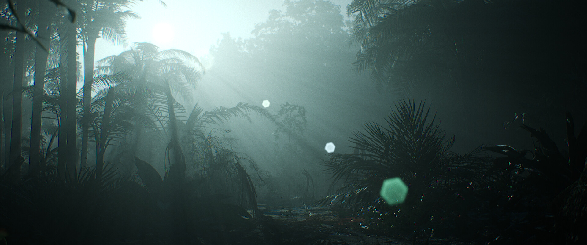 بدون عنوان (جنگل) - تصویر 13943