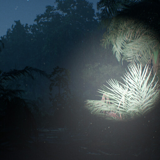 بدون عنوان (جنگل)