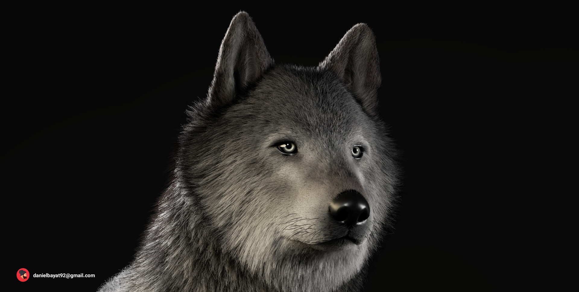 گرگ خاکستری - تصویر 14132