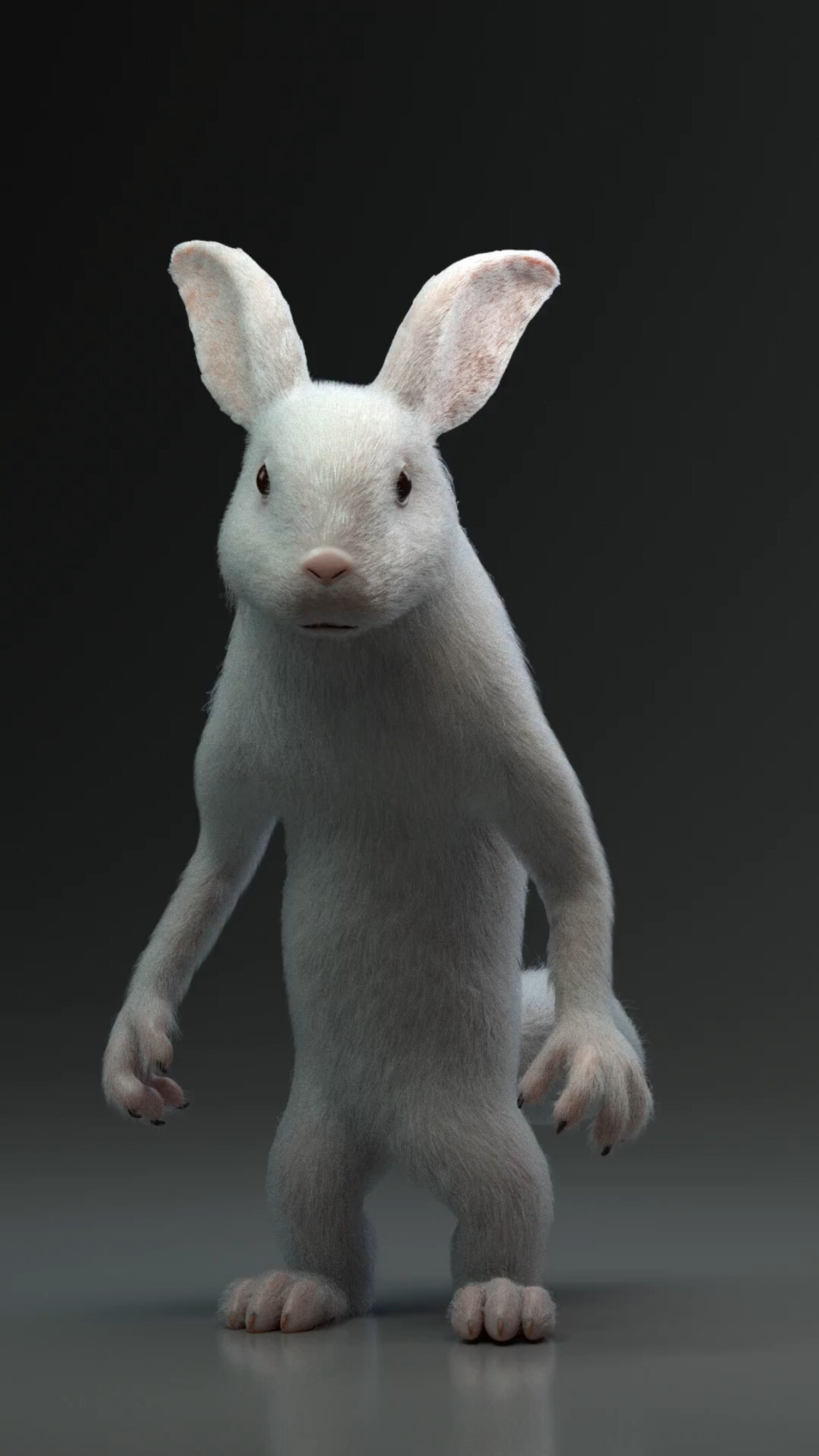 Bunny man - تصویر 14302