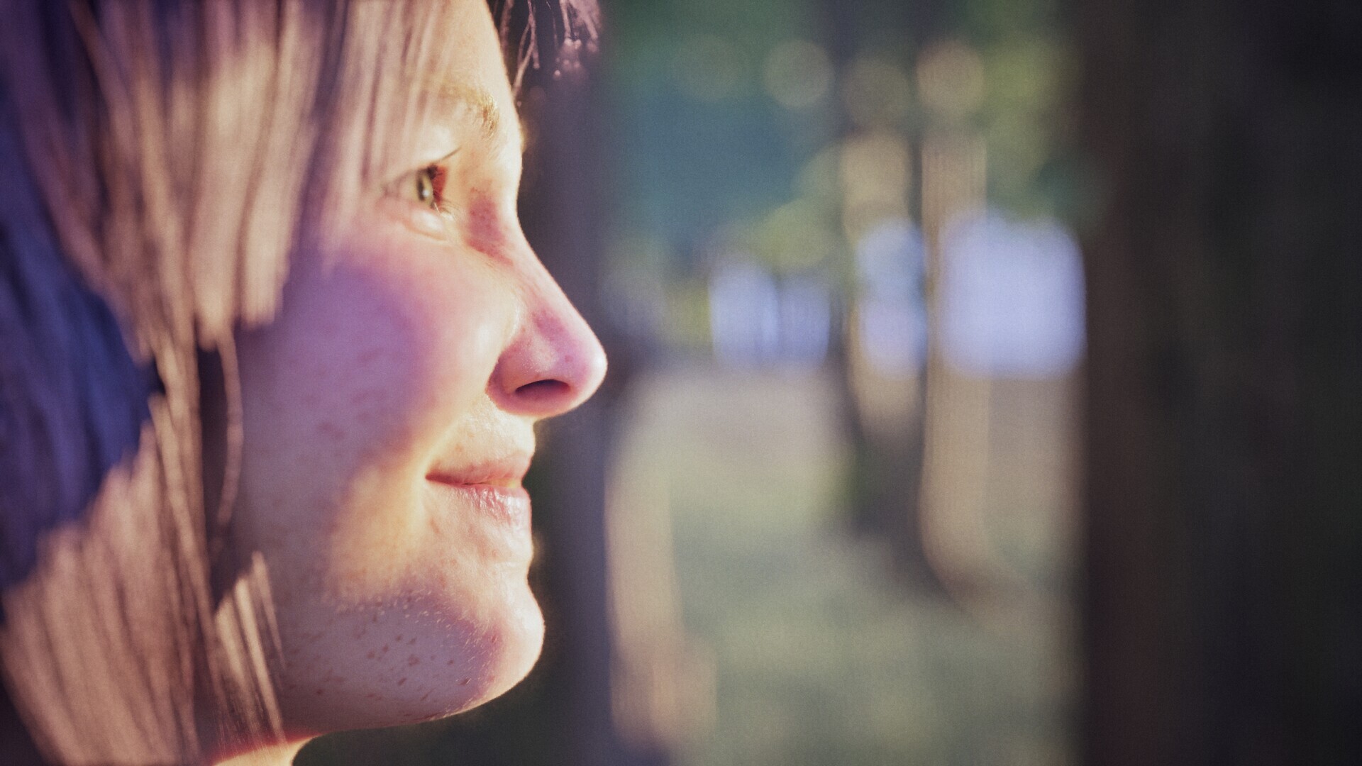 The Chronicles of Locaita Forest - تصویر 14380