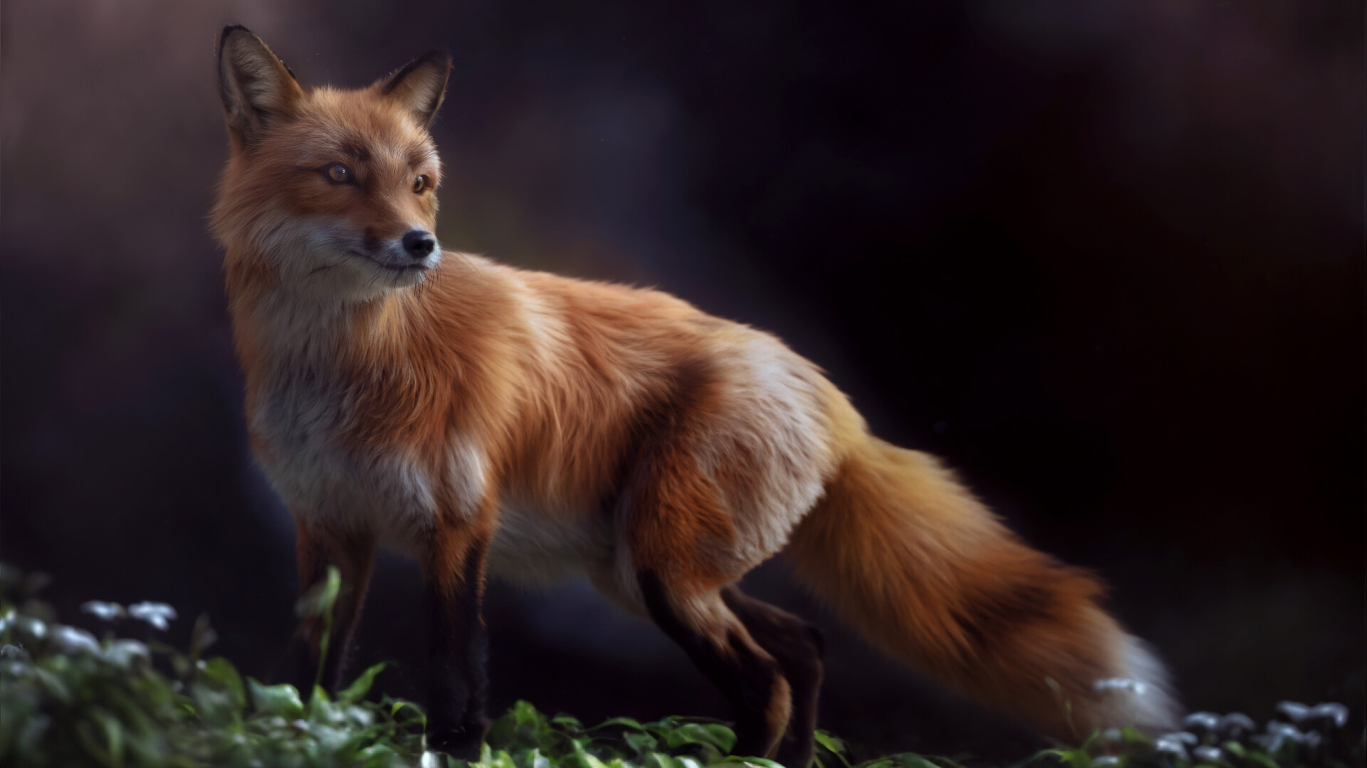 What Does The Fox Say - تصویر 14393