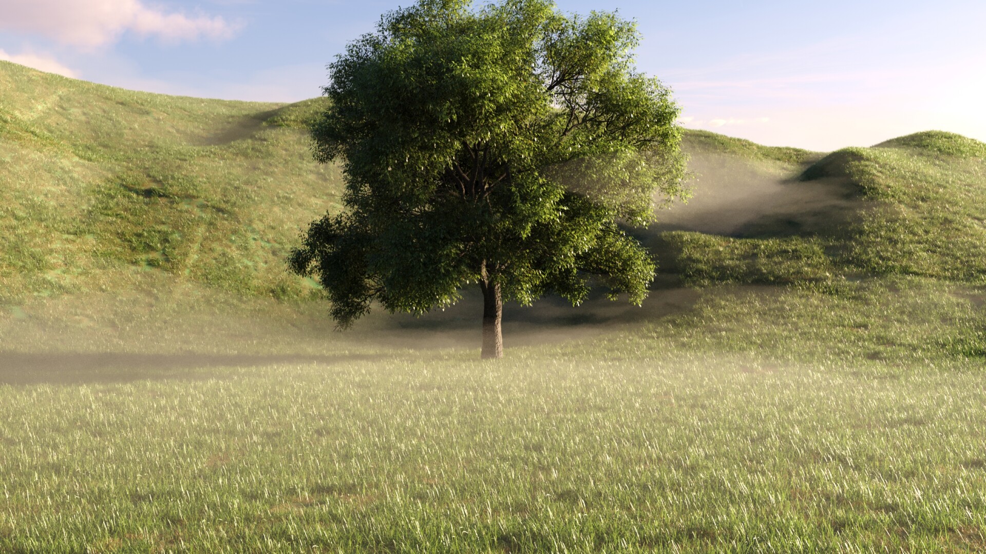 درختِ تنها - تصویر 14718