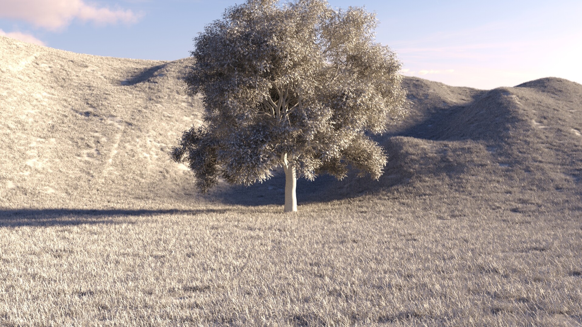 درختِ تنها - تصویر 14719