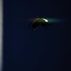 یه انیمیشن فوقالعاده درحال ساخت