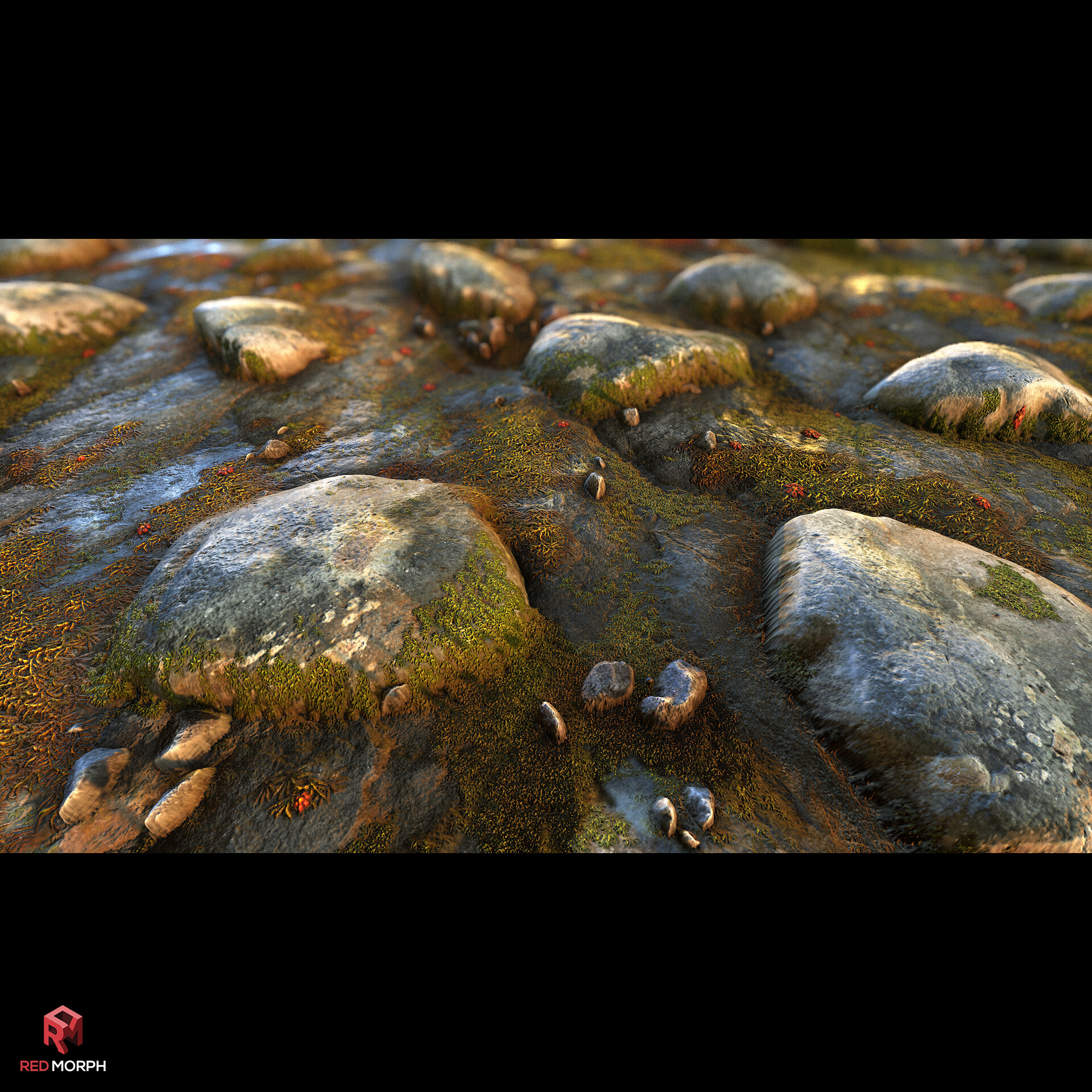 متریال سنگهای کوهستانی - تصویر 15180