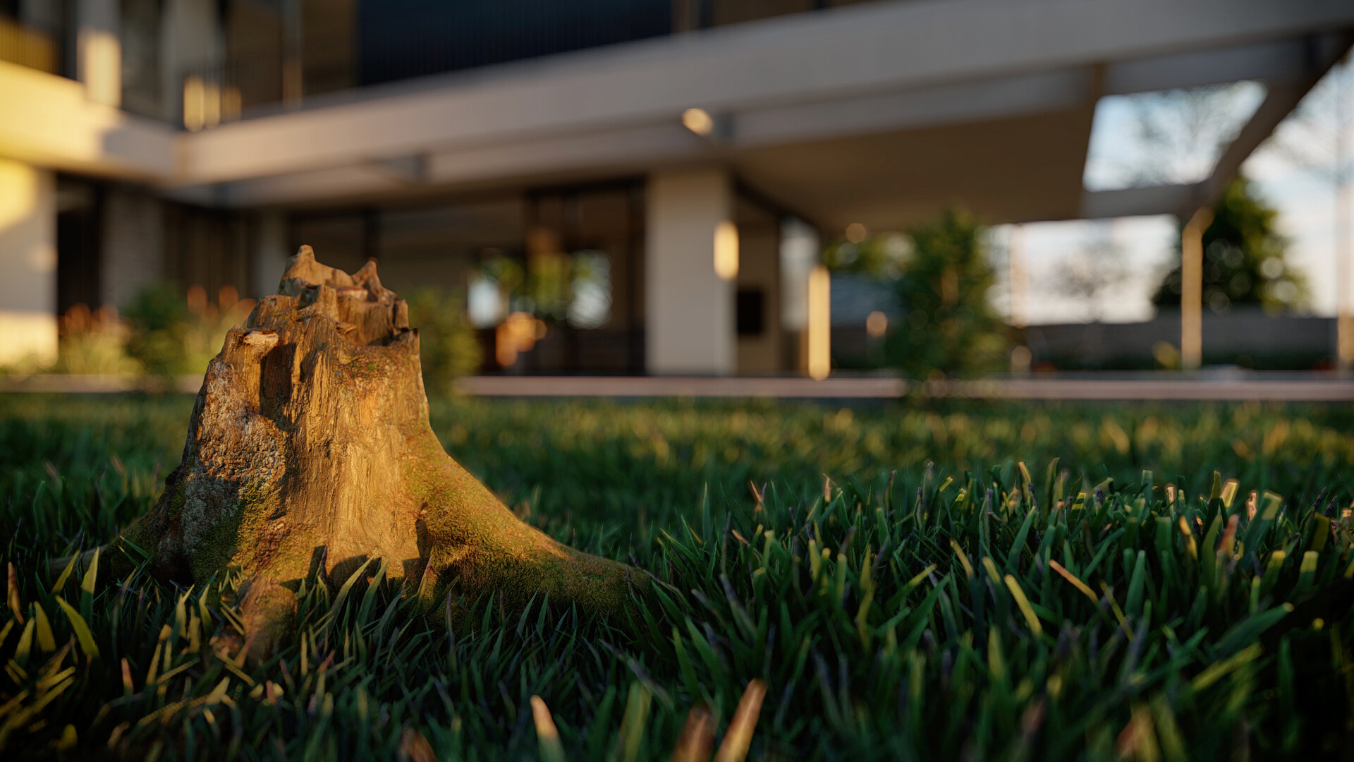 MODERN VILLA - تصویر 15427