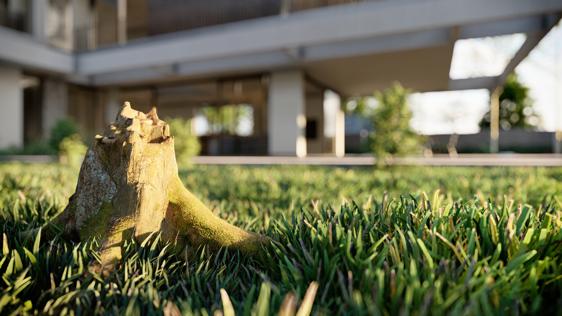 MODERN VILLA - تصویر 15428