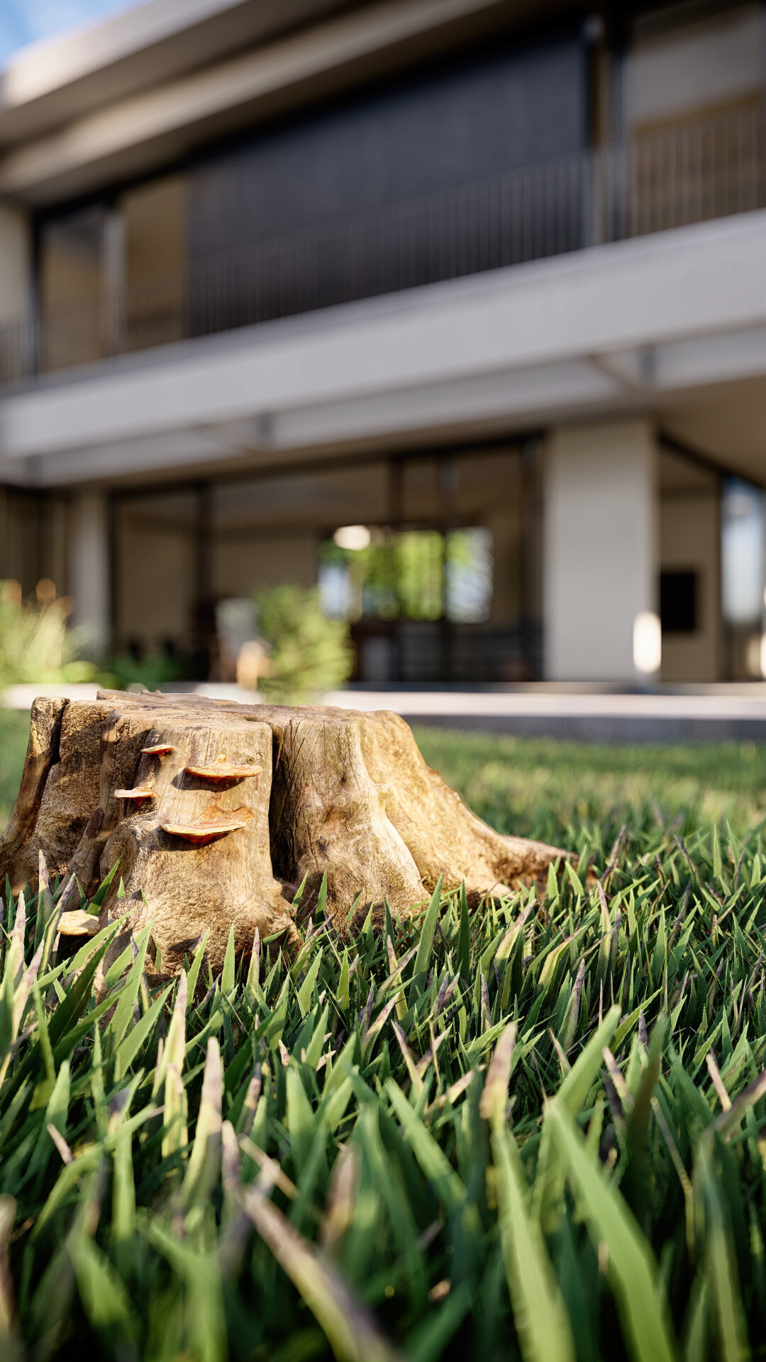 MODERN VILLA - تصویر 15525