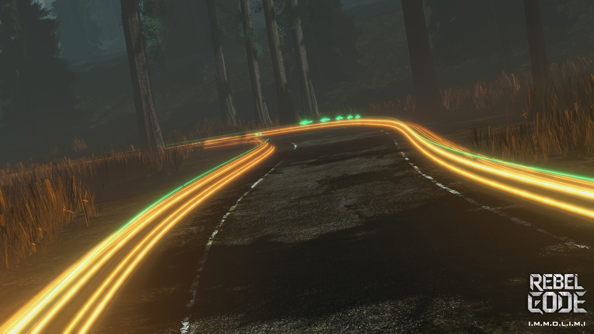 NEW ERA FOREST - تصویر 15490