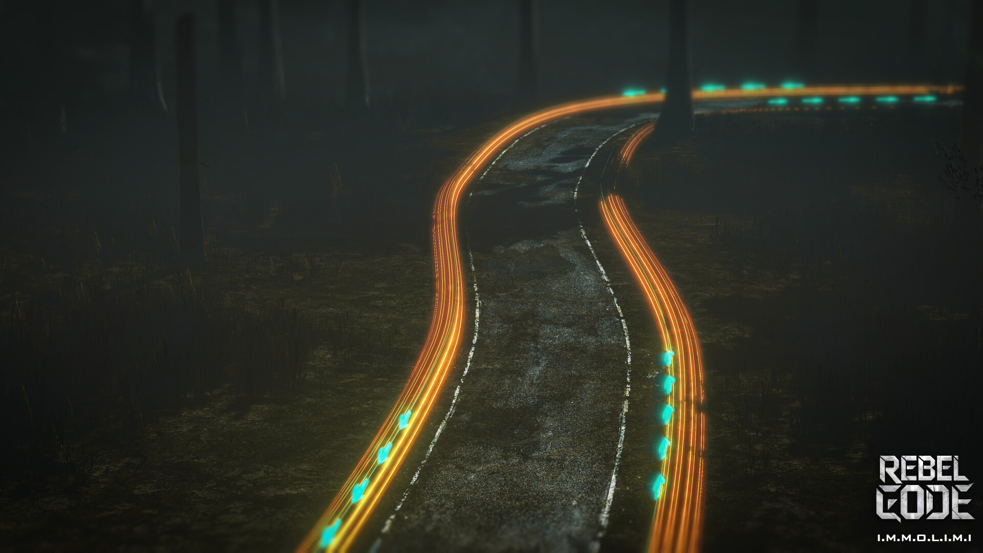 NEW ERA FOREST - تصویر 15491