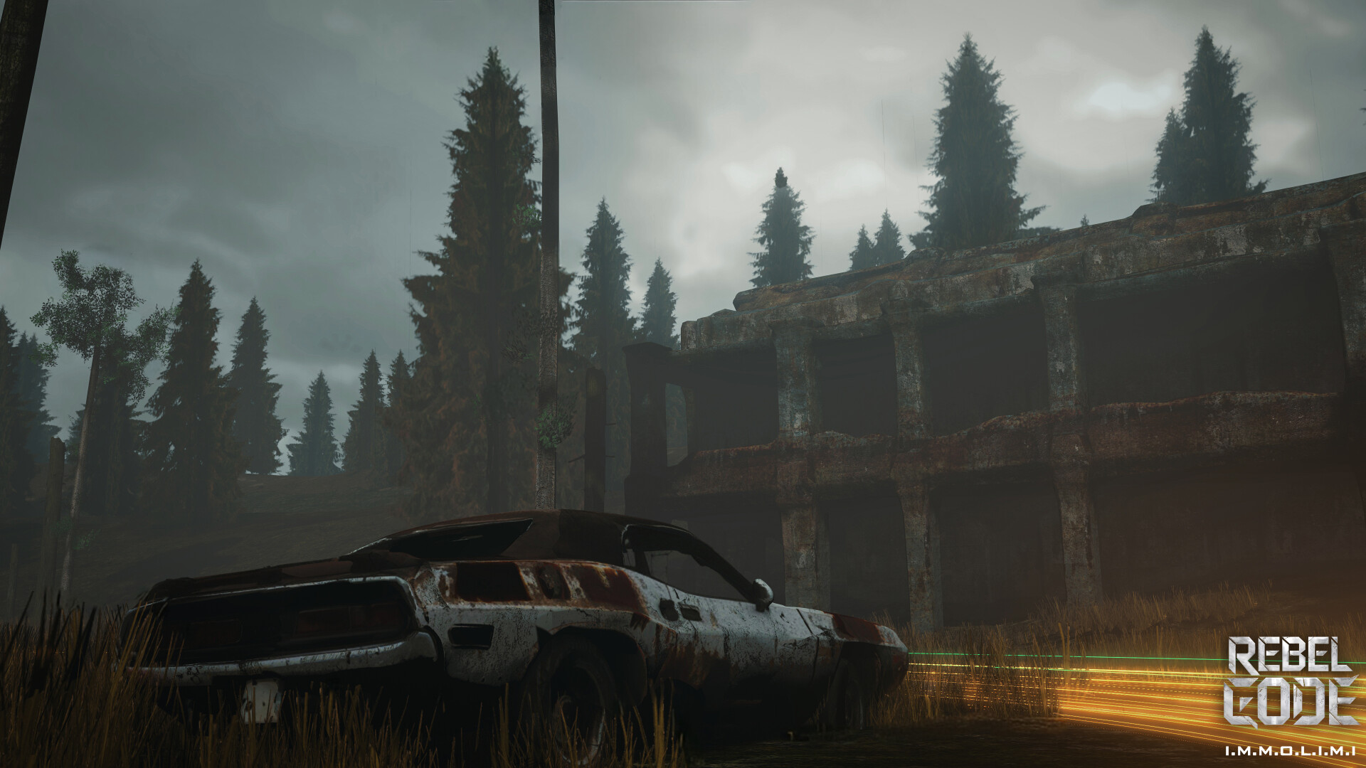 NEW ERA FOREST - تصویر 15496