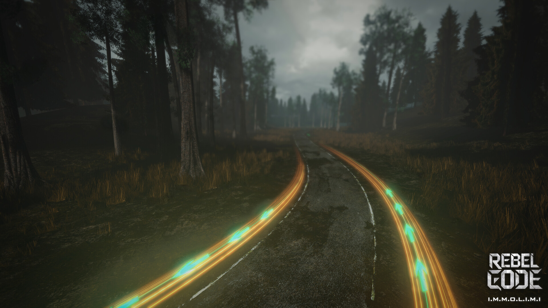 NEW ERA FOREST - تصویر 15497