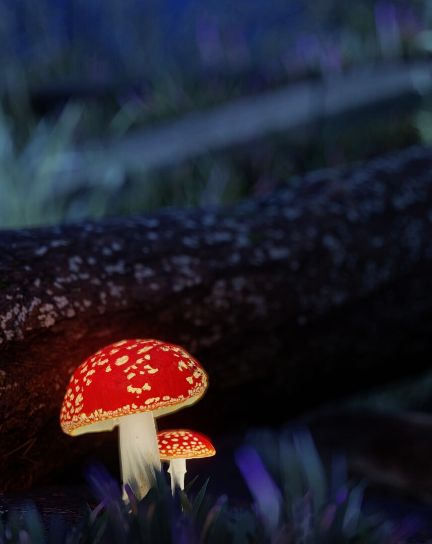 breaking the silence - تصویر 15527