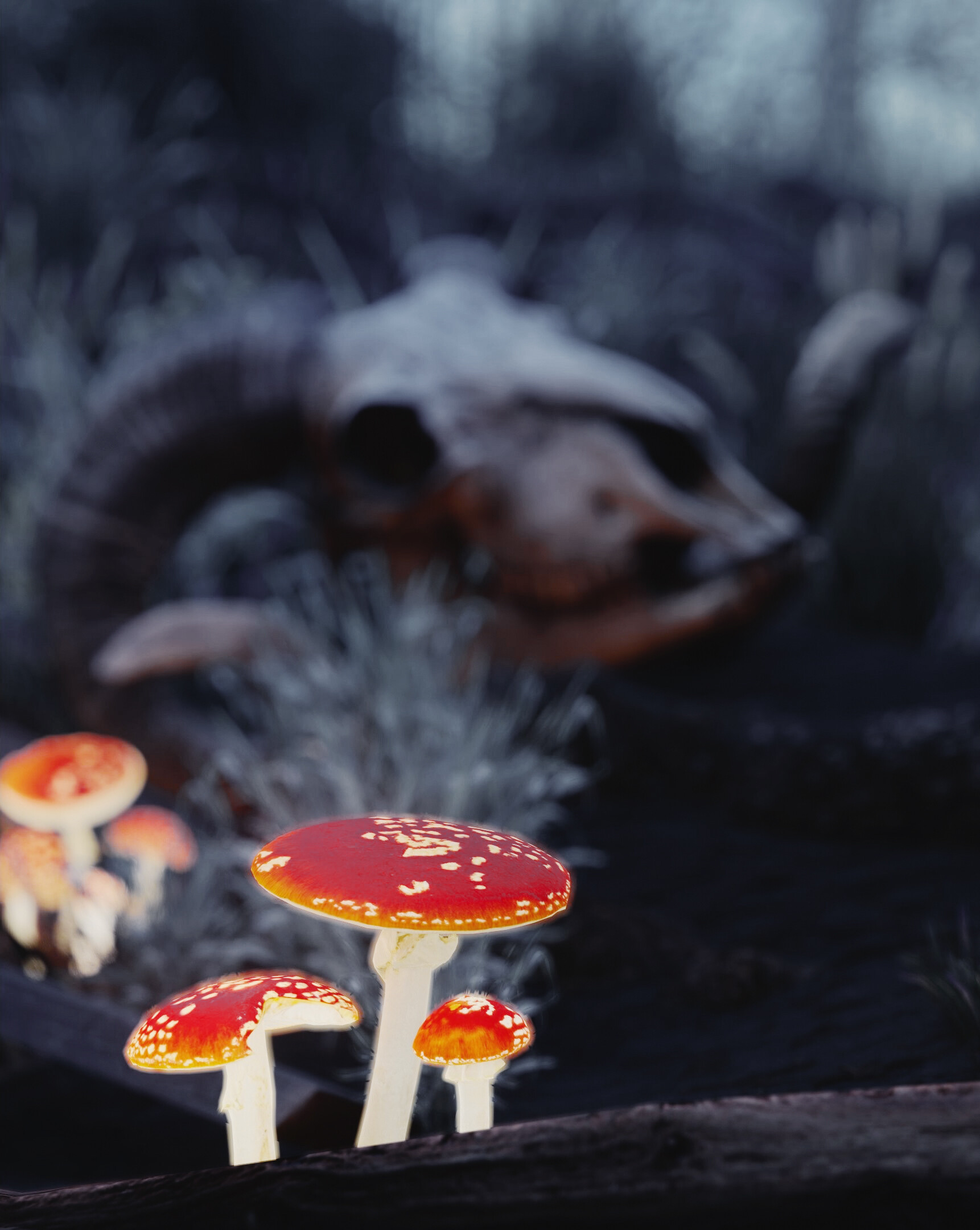 breaking the silence - تصویر 15533