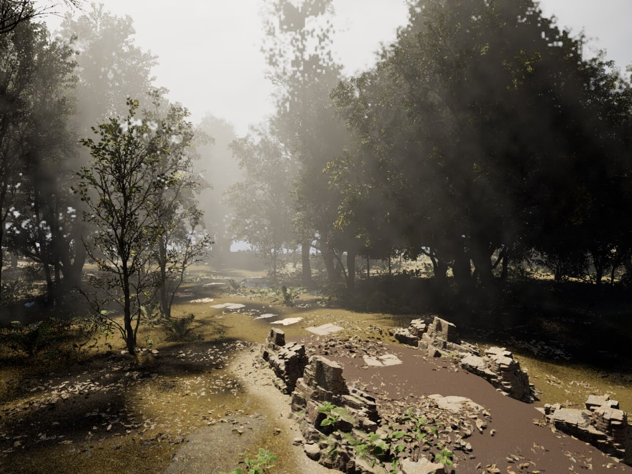 Forest - تصویر 15739