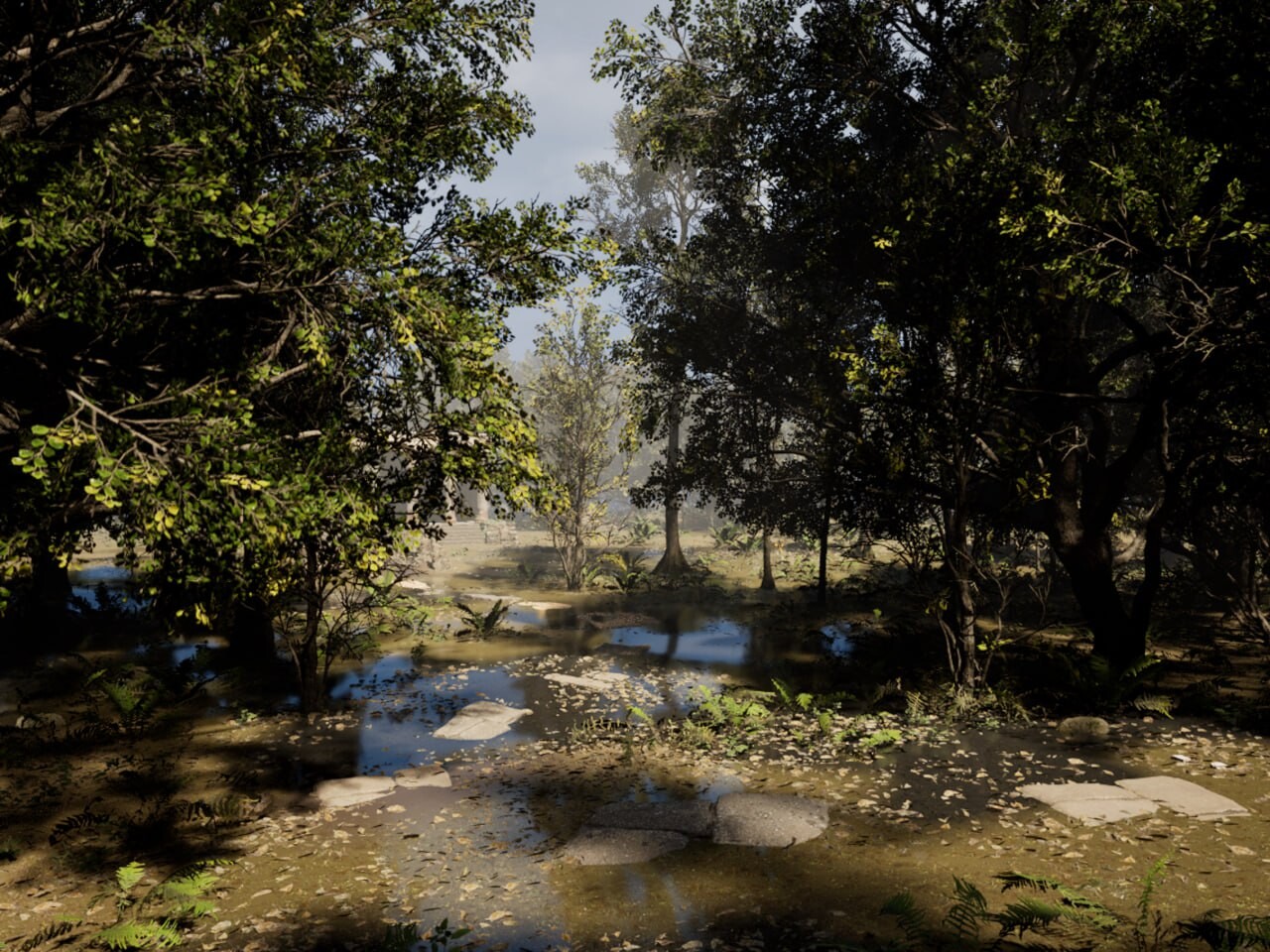 Forest - تصویر 15738