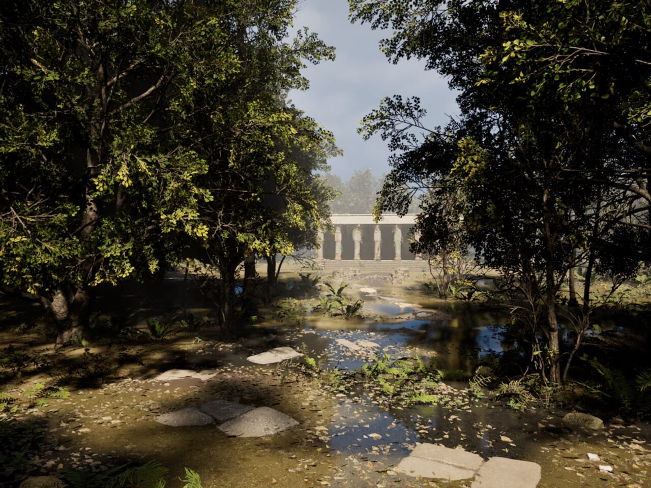 Forest - تصویر 15737