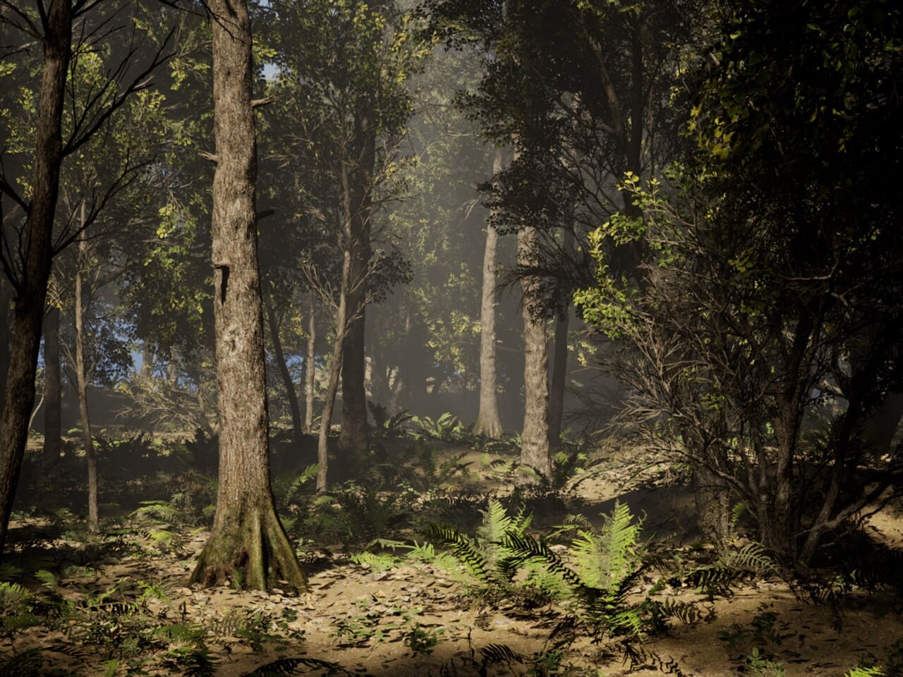 Forest - تصویر 15740