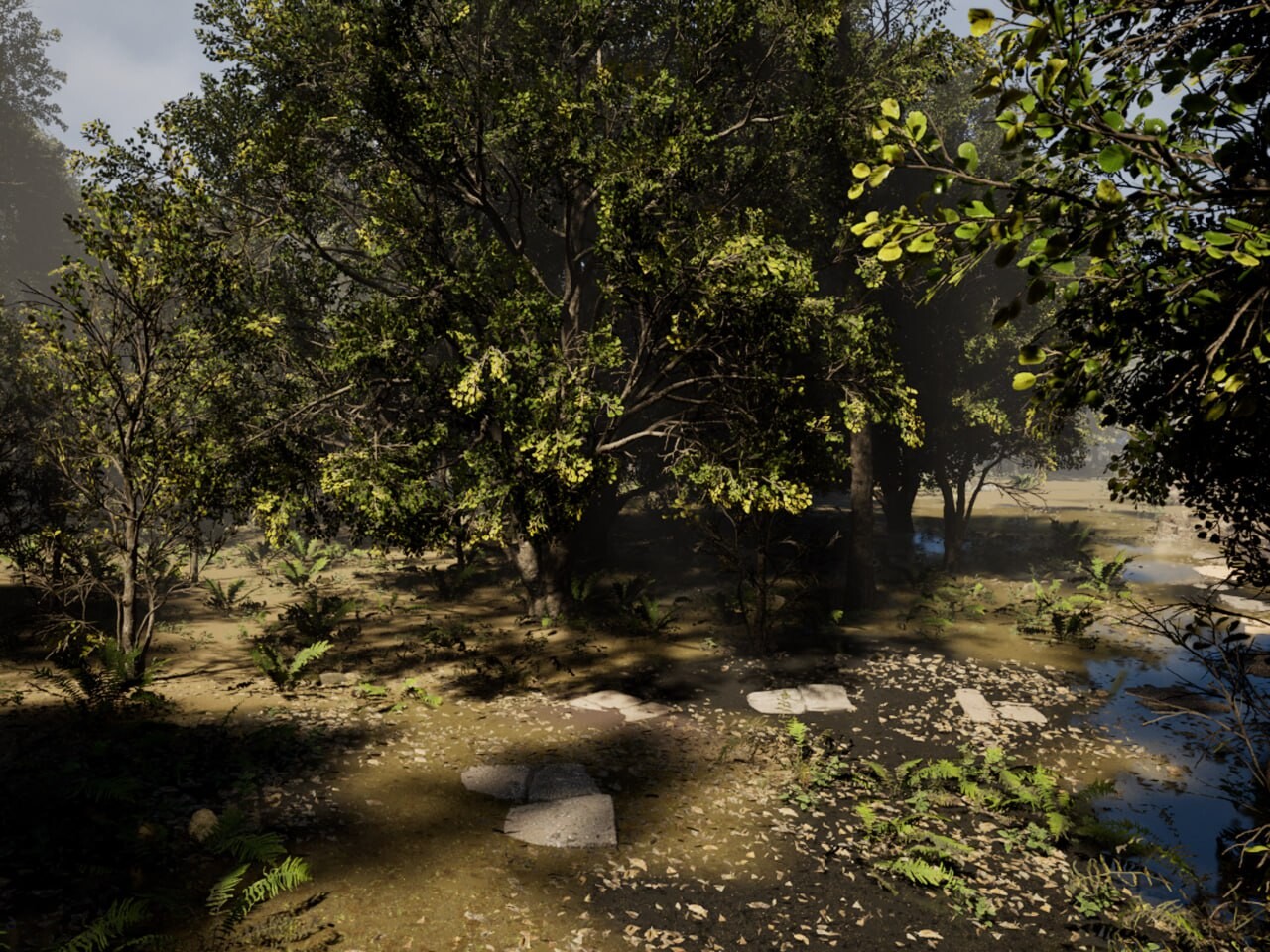 Forest - تصویر 15741