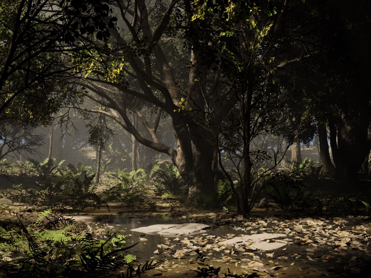 Forest - تصویر 15743