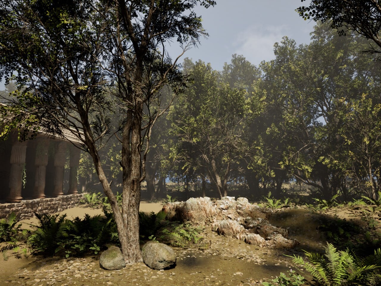 Forest - تصویر 15742