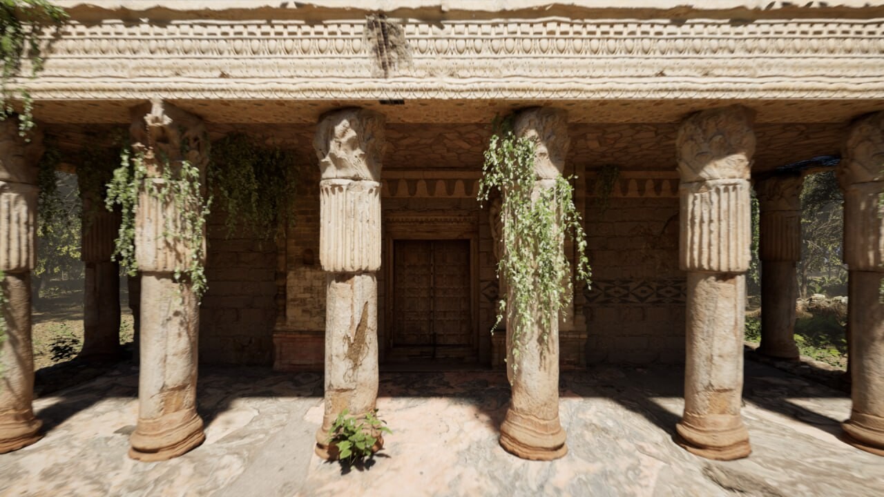 Forest - تصویر 15745