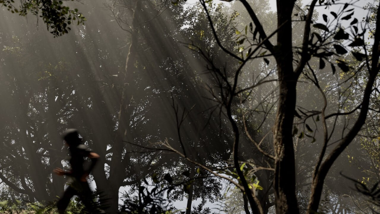 Forest - تصویر 15746