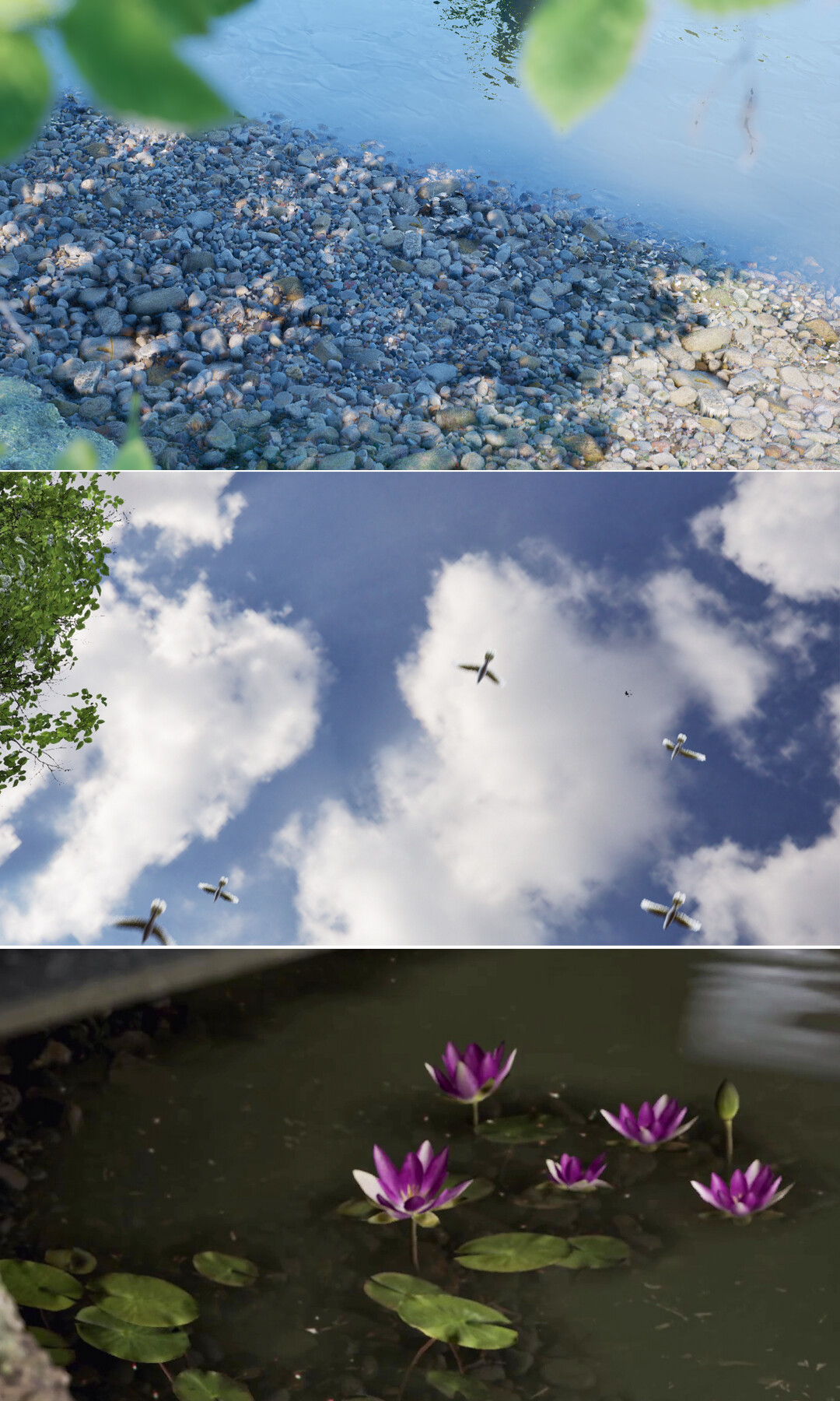 انیمیشن کوتاه ( آخرین نگاه - The last look ) - تصویر 15763