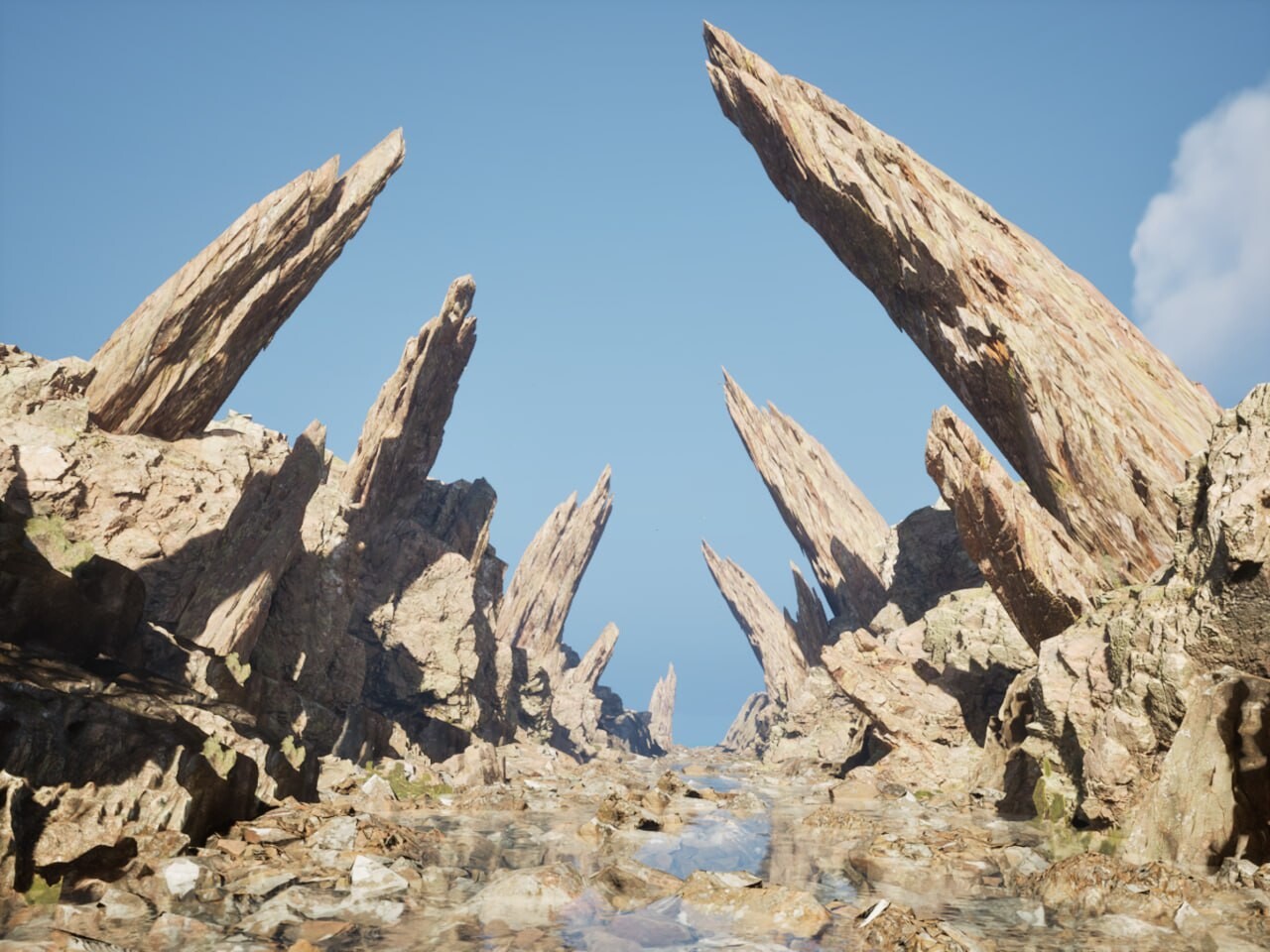 Environment - تصویر 15896