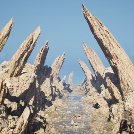 Environment