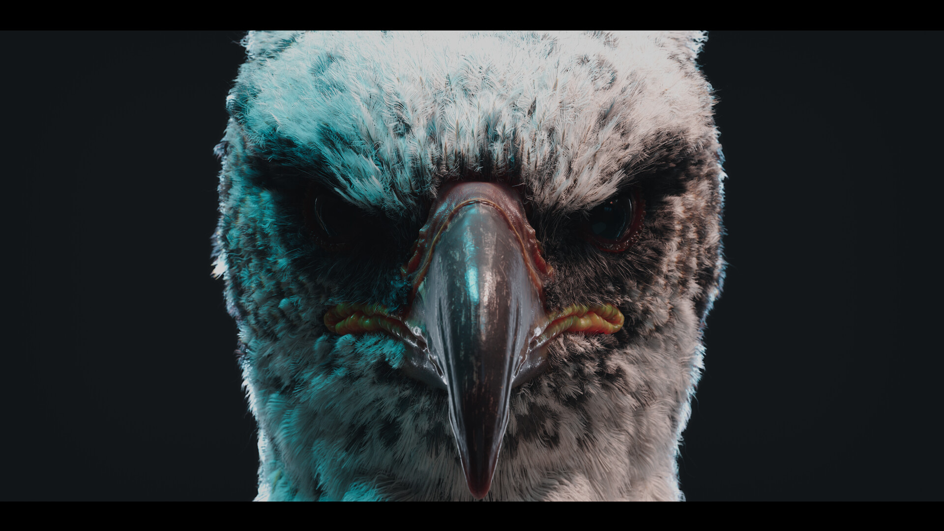 Black Phoenix - تصویر 16298