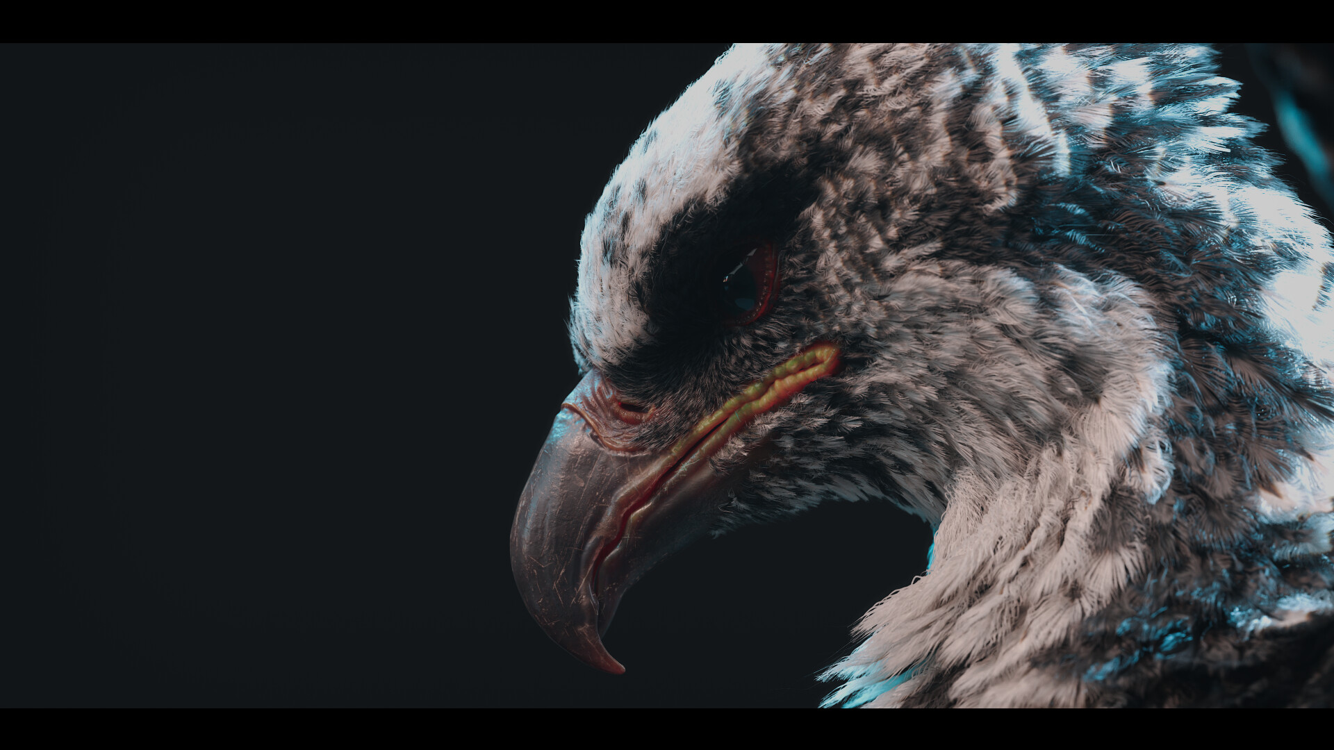 Black Phoenix - تصویر 16300