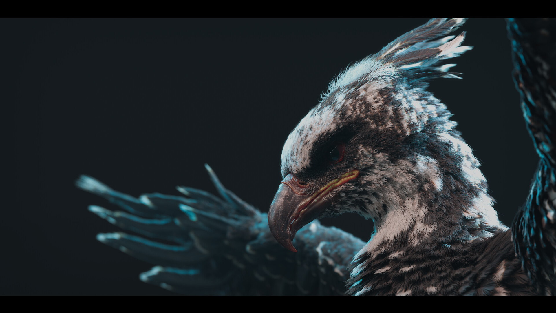 Black Phoenix - تصویر 16301