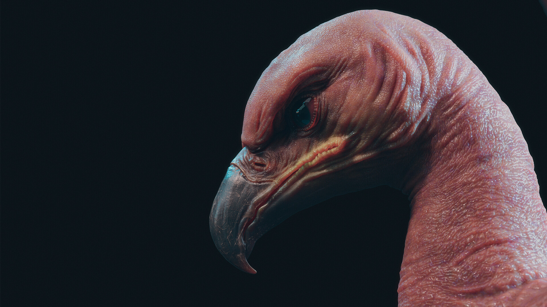 Black Phoenix - تصویر 16303