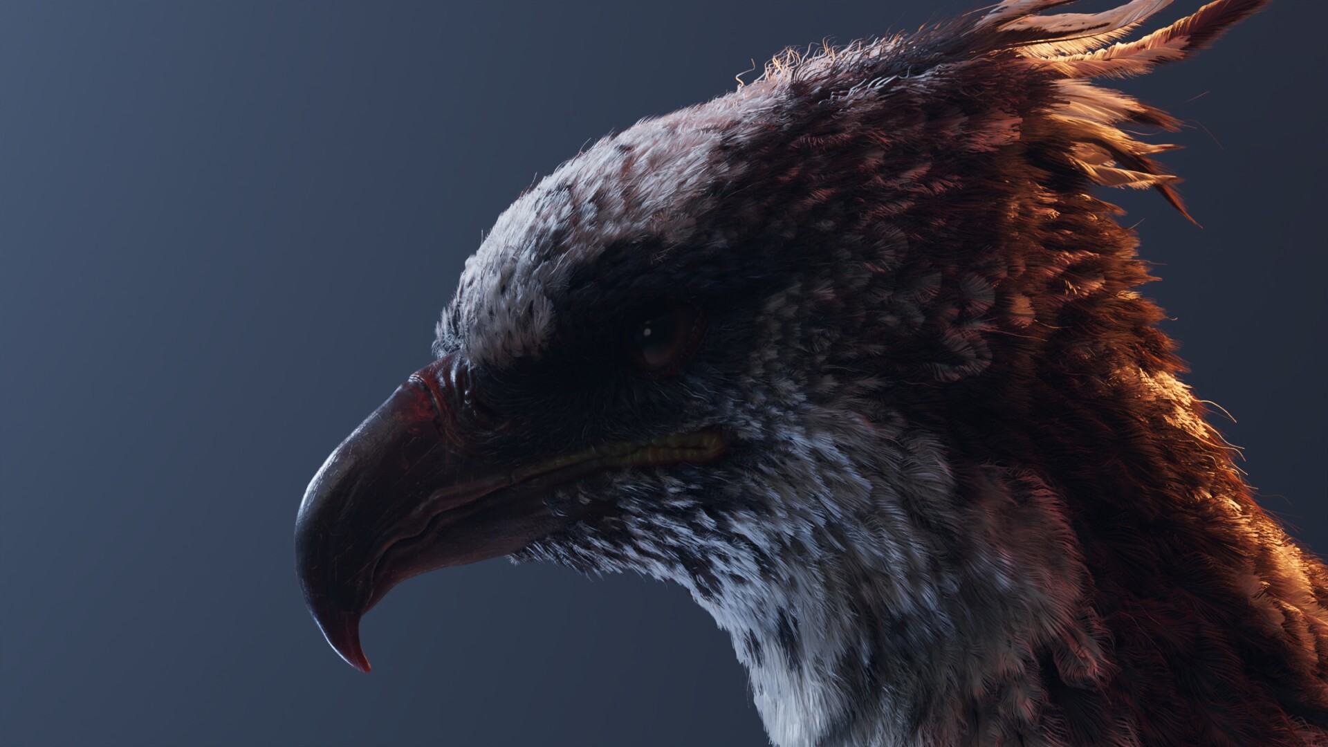 Black Phoenix - تصویر 16306