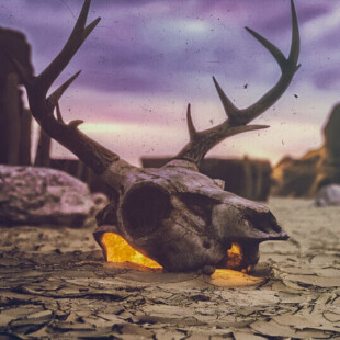 بیابون های اطراف کرمان :)