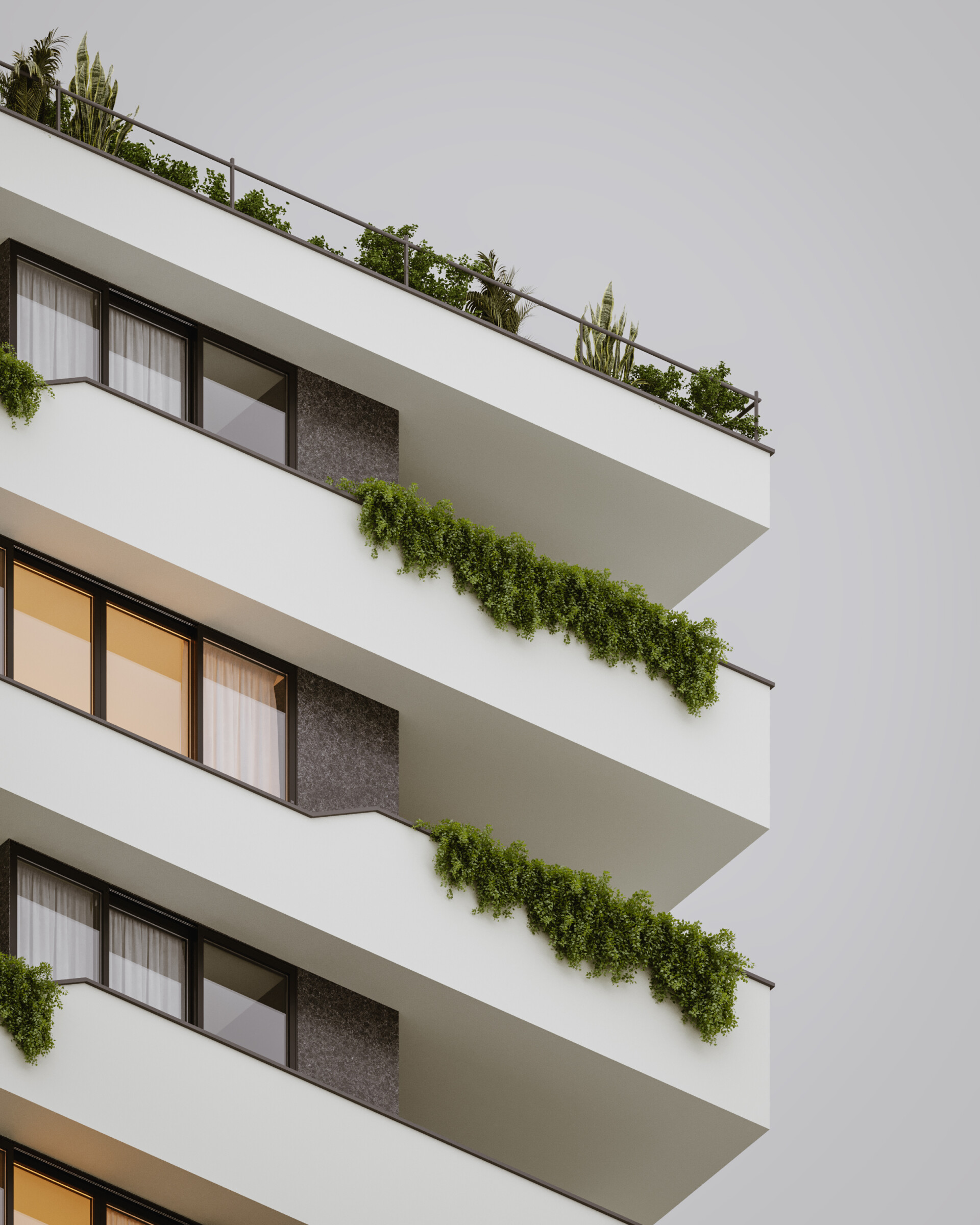 The Hanging Garden - تصویر 16991