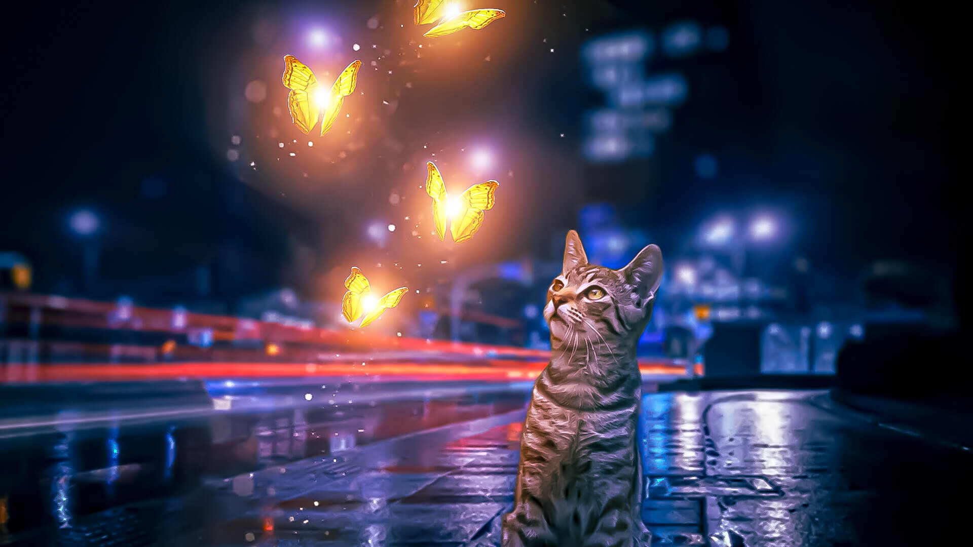 Photoshop     /   Illustrator - تصویر 17232