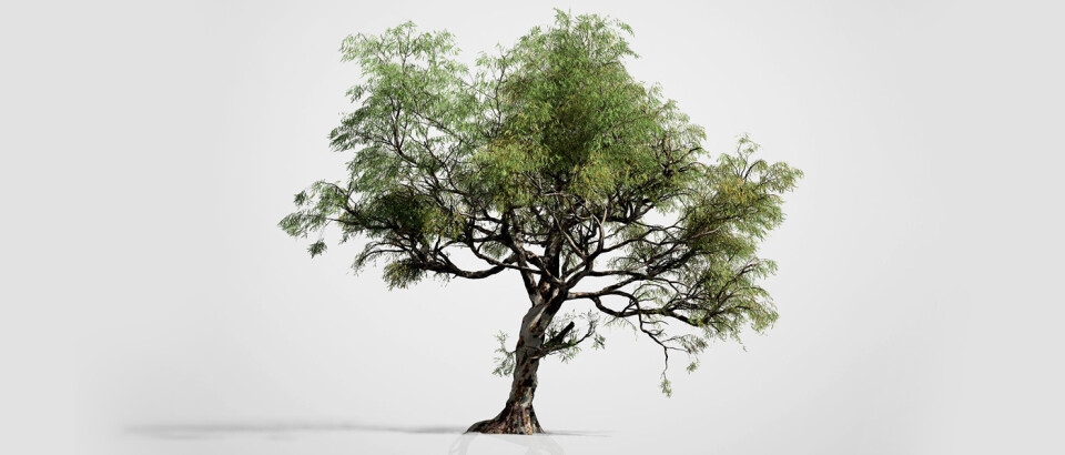 آموزش های SpeedTree