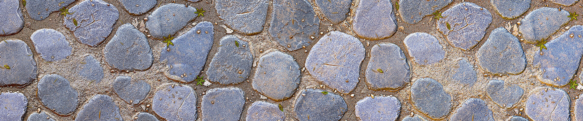 رزومه Ehsan Kiani