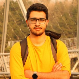 محمد سینا ربانی فرد