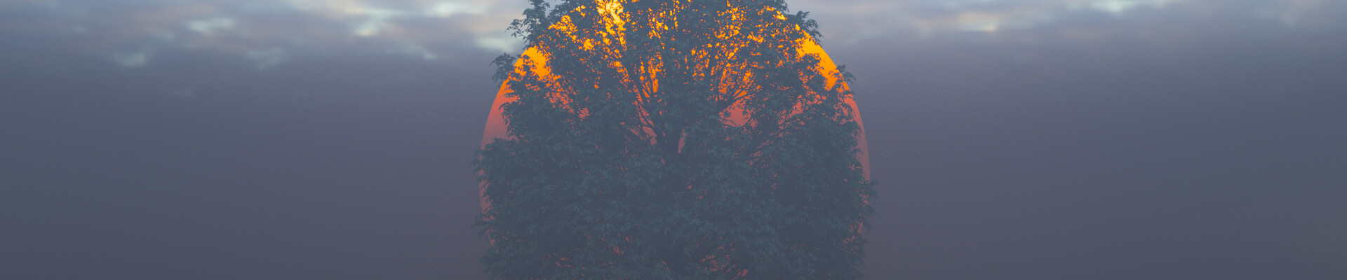 رزومه mohamad beigi