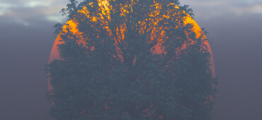 رزومه mohamad beigi