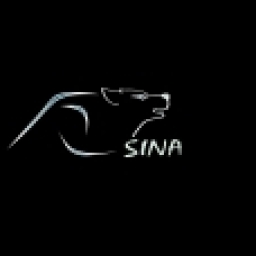sina sohrabi 