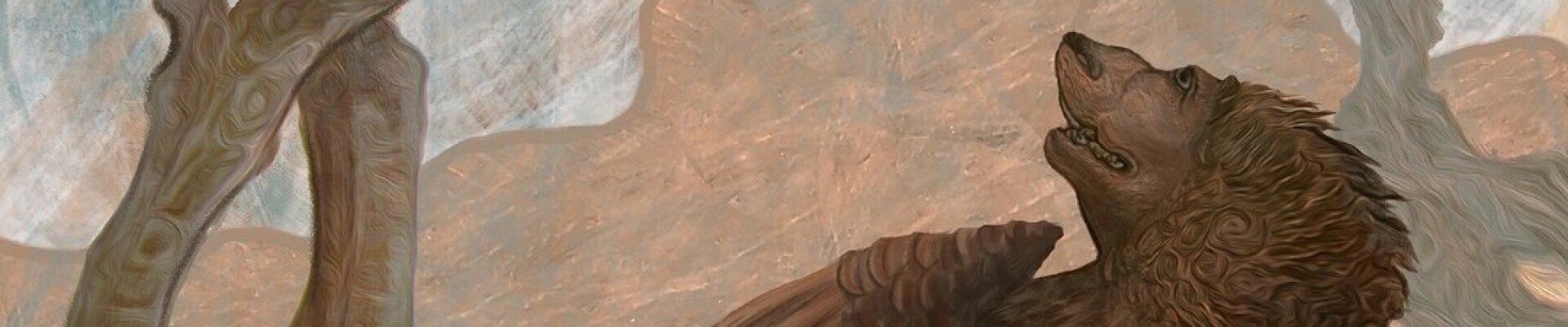 رزومه Taha Elahian