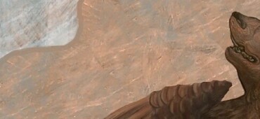 رزومه Taha Elahian